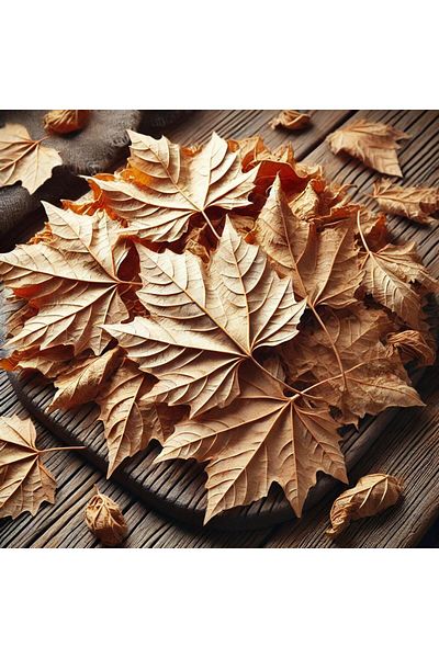 Karşı Köyden 80g Plane Leaf