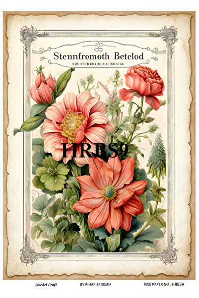 LİNEART الشاي والقهوة والكعك ورق تزيين الأرز رقم: HRBS9 29X42cm