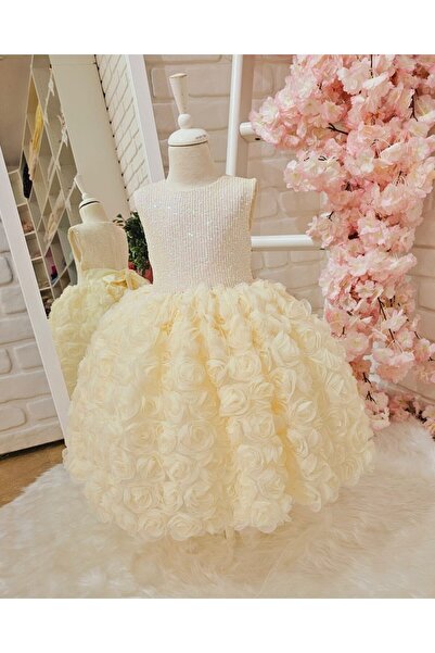 Linarookids Krem Güllü Vintage Kız Bebek Elbisesi,Doğum günü,fotoğraf çekim elbise,0-13 Yaş Uygun