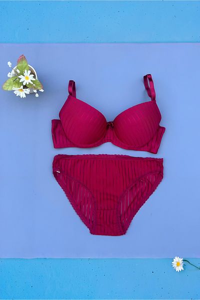 Ayreka Burgundy Padded Underwire Striped Transparent Women's Bra Panty Set