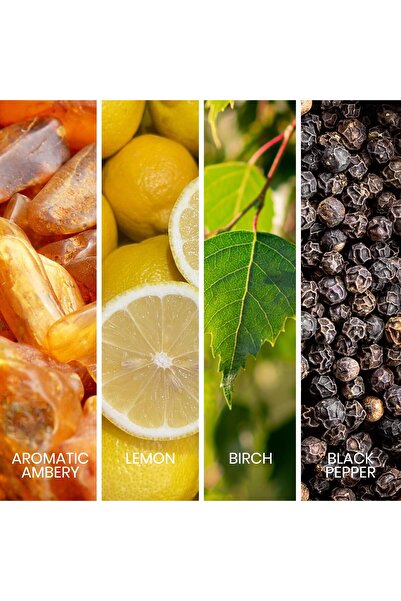 sapil Intense Noir for Men Eau De Parfum 100ml