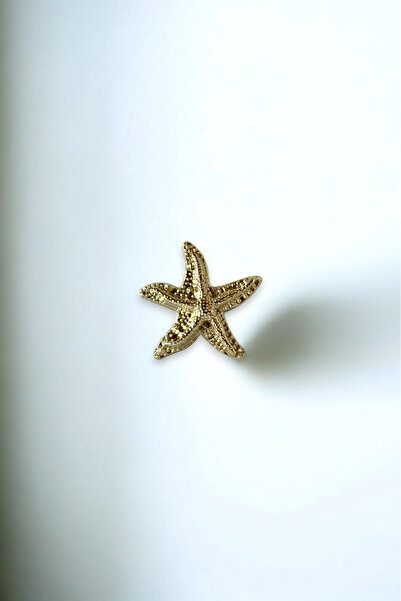 Trend aksesuar Metal Çift Kat Dokulu Deniz Yıldızı Broş