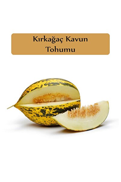 Zencefil Organik Kırkağaç Kavun Tohumu 1 Paket Kırk Ağaç Kavun Tohumu Kapalı ...