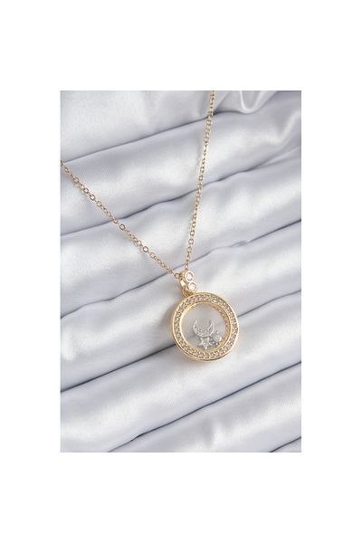 Skygo 316l Steel Gold Color Zircon Stone Detail Moon Star Bell Jar Model Women's Necklace - Tj-bko8194