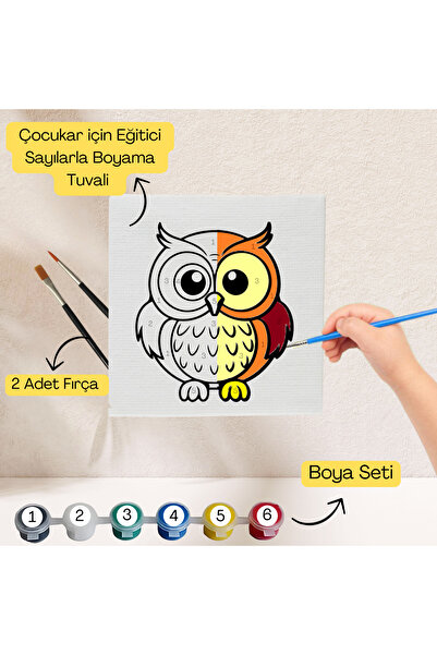 hediye hobim Çocuklar İçin Eğitici Sayılarla Boyama Seti Baykuş–20x20 Tuval,B...