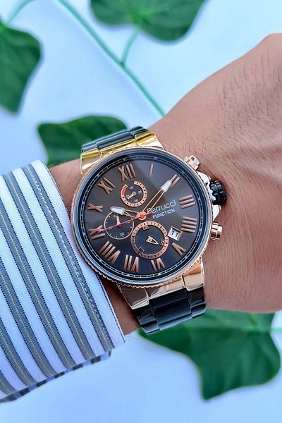 Ferrucci Function Men's Wristwatch Steel Strap Steel Case 3 Atm Water Resistance