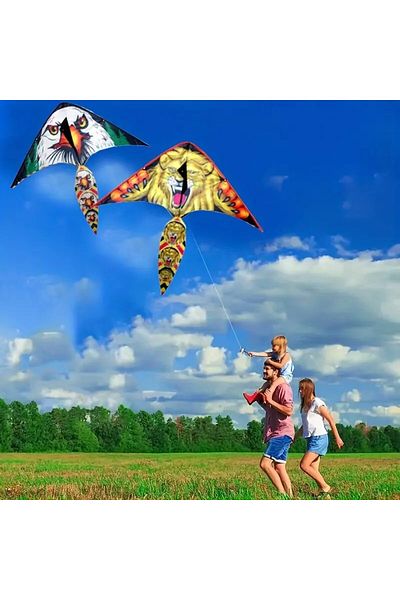 Aslan 100m Kite with Reel Remote Control Outdoor Activity