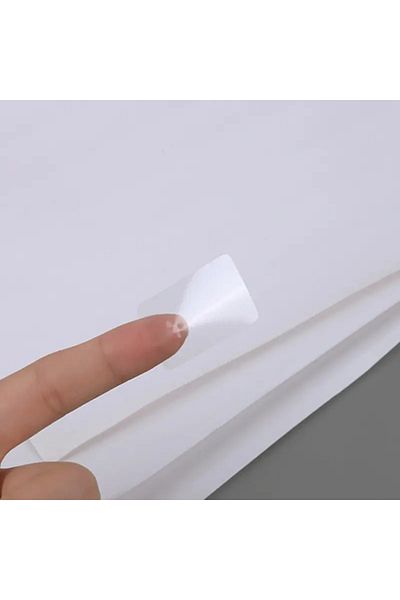 ZUIDID 1000 Pcs - 30mm X 20mm Pp Clear Sticker - Mouth Closing Sticker (Rectangle)