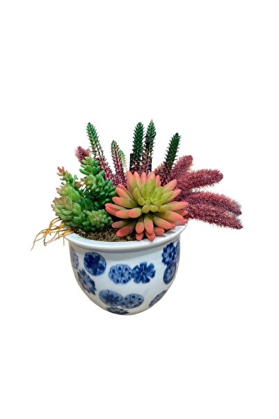 Klas Home Decor Oasis in Aaron Sukulent Aranjman