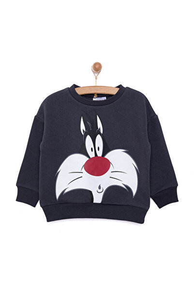 Looney Tunes Loney Tunes LooneyTunes Looney Tunes Erkek Sweatshirt Erkek Bebek