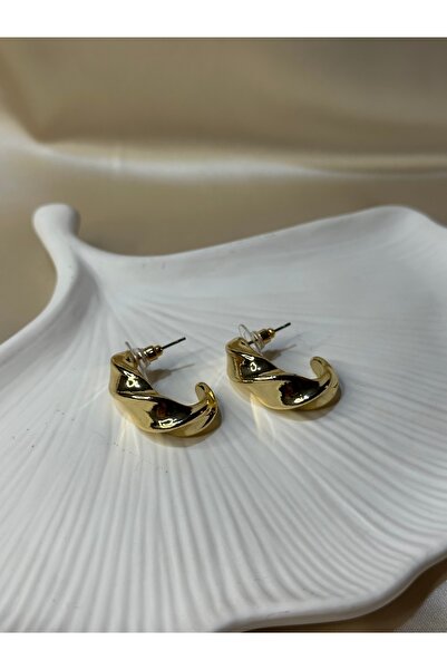 Burgu Model Gold Çelik Küpe