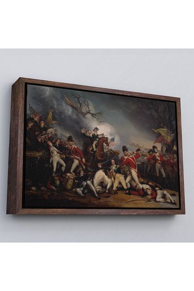 Harita Sepeti Painting-Death of General Mercer at the Battle of Princeton in a White Framed-