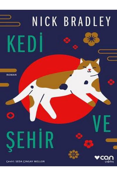 BOOK AND MORE Cat and City - (Paperback)