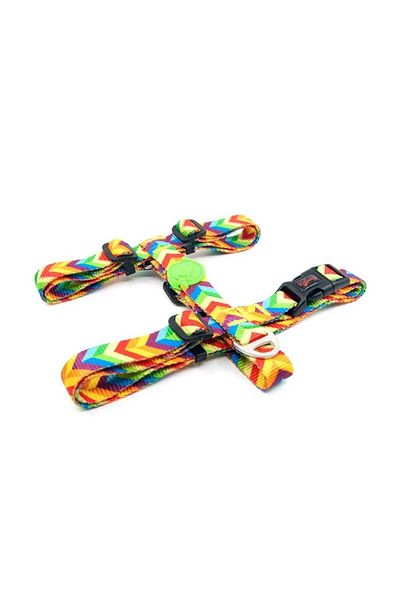 Tailpetz Rainbow M H-type Dog Collar