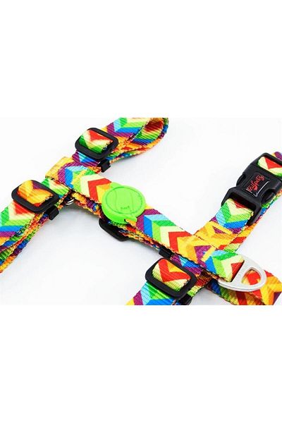 Tailpetz Rainbow M H-type Dog Collar