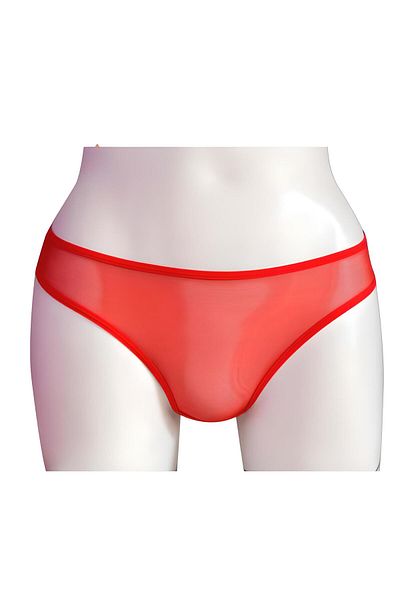 Helena Paris Women's Transparent Stone Lace Detailed Thong Slip (2749)