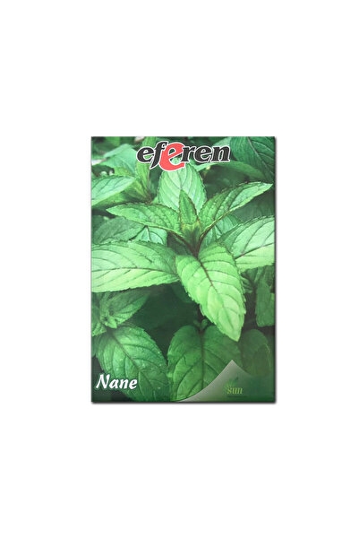 ByKurt Sunagri Nane Tohumu - Aromatik, Tıbbi Özellikli, Çok Yıllık, Kolay Yetiştirilir