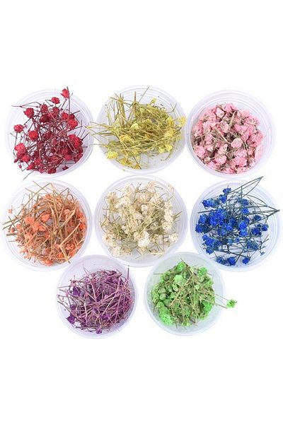 Generic Resin art dry plant box 8 colors d-126 1g per color