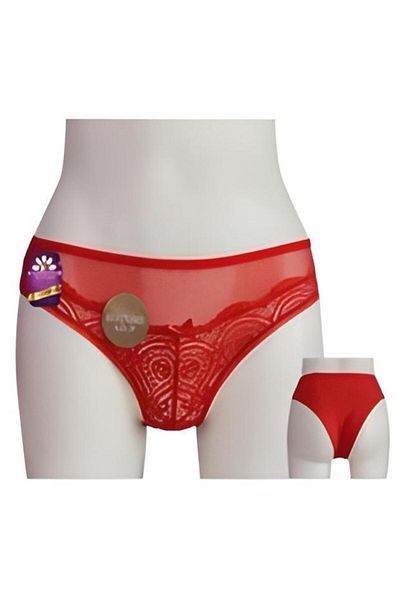 Papatya Women's Brazilian Patterned Lace Front Panties with Ribbon Detail (4871)