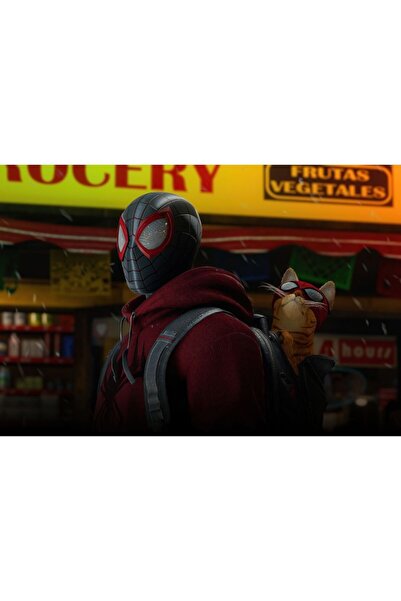 OEM Αφίσα 2023 Mile Morales Spiderman, 61x90εκ., αφίσα2695, Zumzeria