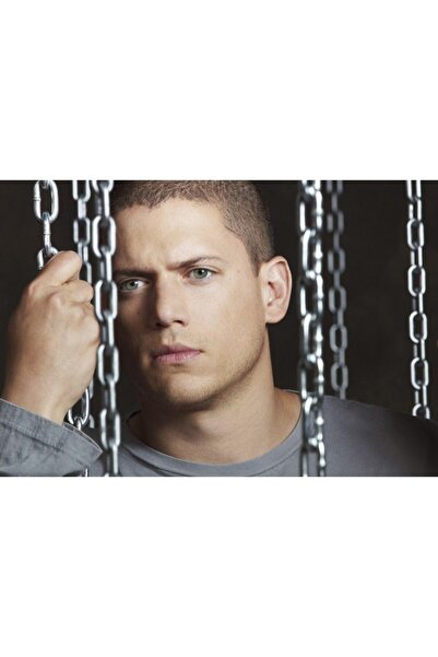 OEM Αφίσα Prison Break Michael Scofield, 61x90εκ., Zumzeria