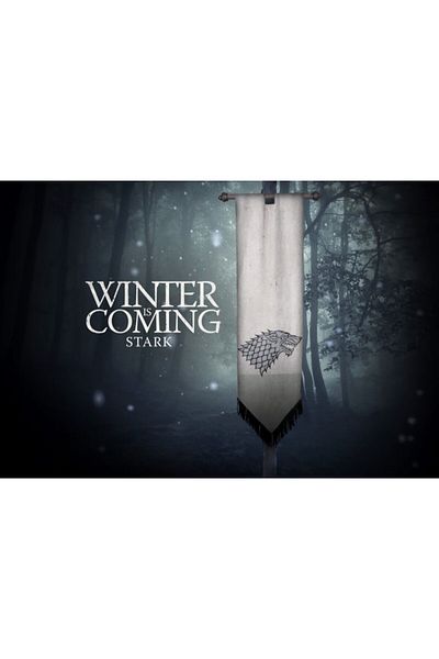 OEM Poster Game Of Thrones Winter Is Coming Stark, 61x90cm, Zumzeria ®