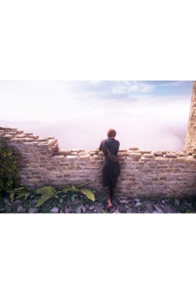 OEM Poster A Plague Tale Innocence 2022, 61x90cm, poster2101, Zumzeria ®