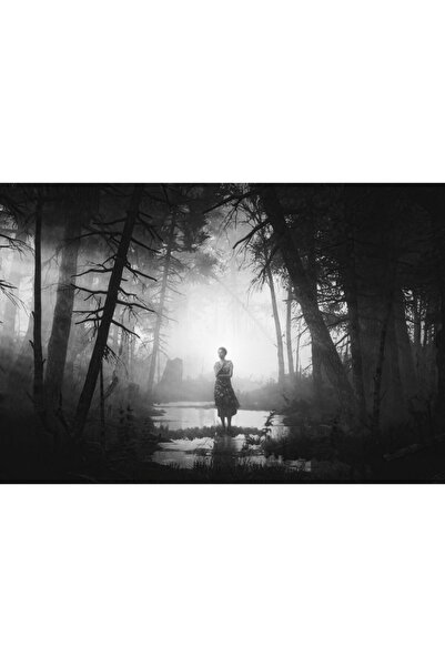 OEM Poster Cernobilit, 61x90cm, poster1551, Zumzeria ®