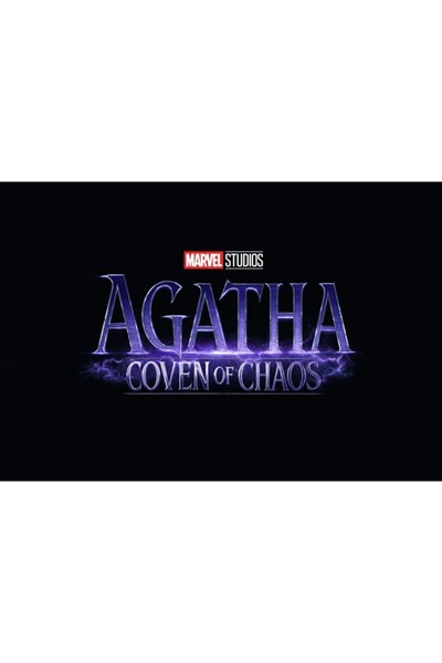 OEM Poster Agatha Coven Of Chaos, 61x90cm, poster2197, Zumzeria ®