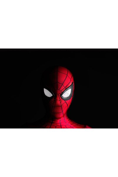 OEM Αφίσα Αυτοπροσωπογραφία Spiderman, 61x90εκ., αφίσα1830, Zumzeria