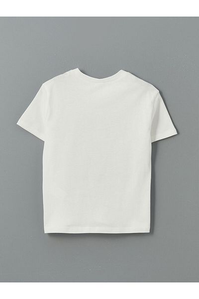 LC Waikiki Crew Neck Printed Boy's T-Shirt