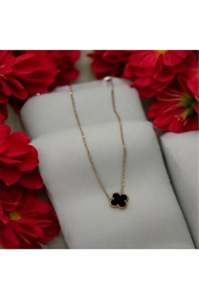 Perle Norie Gold Color Mother of Pearl Necklace Steel Bracelet Flower Necklace