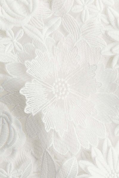 H&M Floral-appliquéd Lace Dress