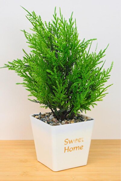 Digithome Dekoratif Saksılı Yapay Kuşkonmaz Ağacı Beyaz 35cm EVA-5683 C1-1-423