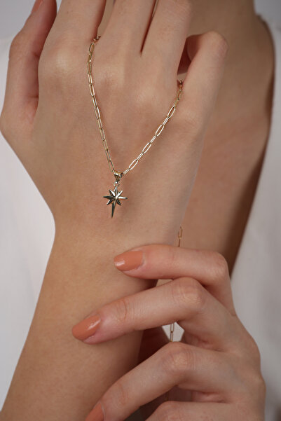 DİAMİNE PIRLANTA 14 Ayar Altın Ataç Kutup Yıldızı Kolye