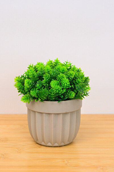 Digithome Dekoratif Saksılı Yapay Büyük Top Çiçek Bej 14cm EVA-5791 C1-1-423