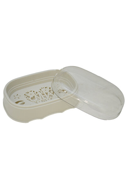 Generic plastic soap dish