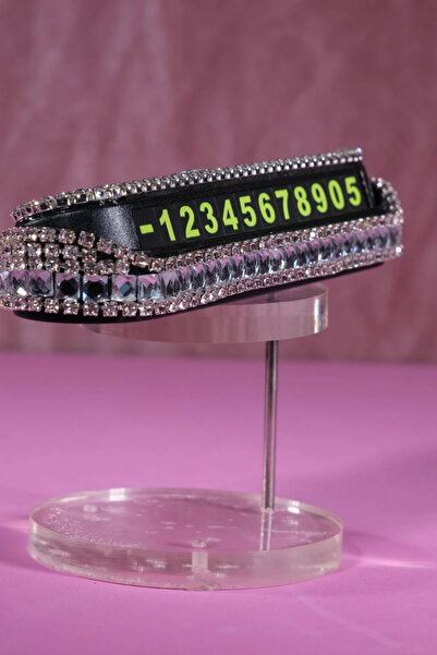 TASARIM ARABAM ATİKE ELİF AKIN Gümüş Gümüş Baget Taşlı Araç İçi Numaratör