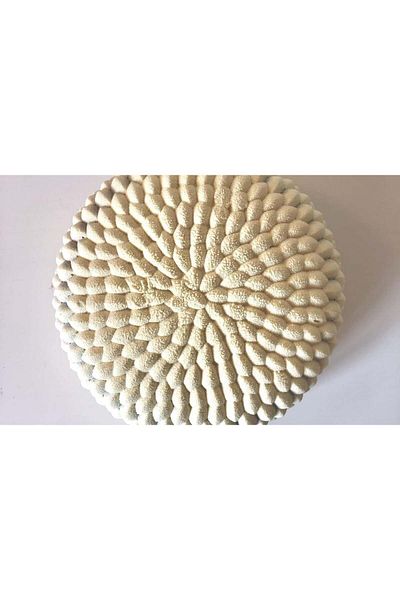 Gycook Matrita pentru tort Gycook, silicon, alb, 220 x 73 mm