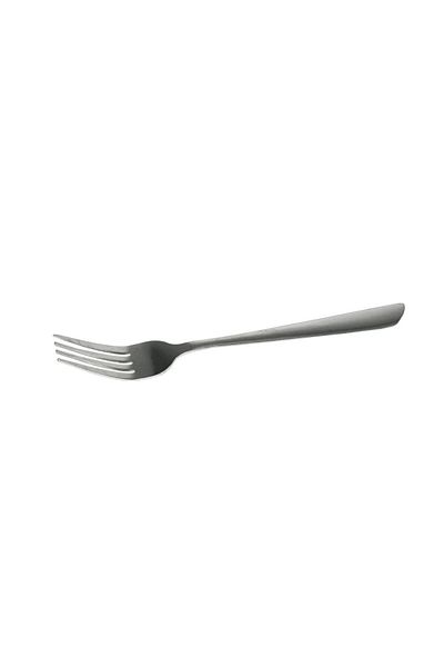 Generic 6-piece stainless steel dinner fork set