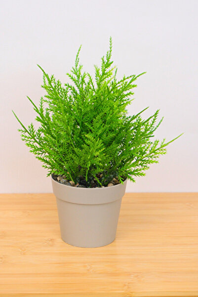 Digithome Dekoratif Saksılı Yapay Kuşkonmaz Çiçeği Bej 22cm EVA-5822 C1-1-423