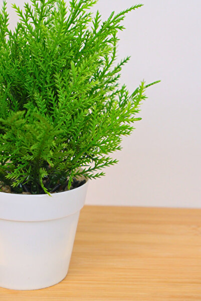 Digithome Dekoratif Saksılı Yapay Kuşkonmaz Çiçeği Beyaz 22cm