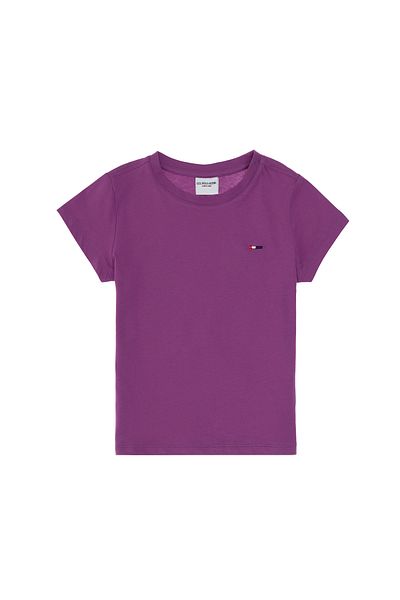 U.S. Polo Assn. Boy's Violet Basic Crew Neck T-Shirt 50306548 -Vr037