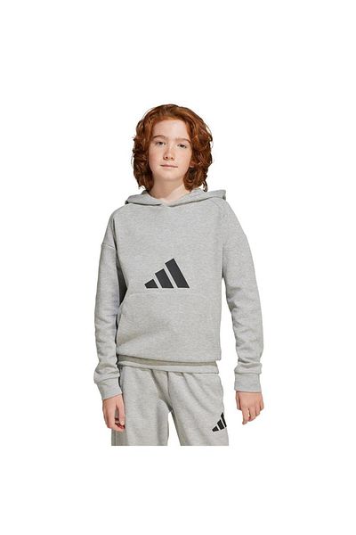 adidas Hanorac gri pentru copii J Fı Logo Hd Jj4788