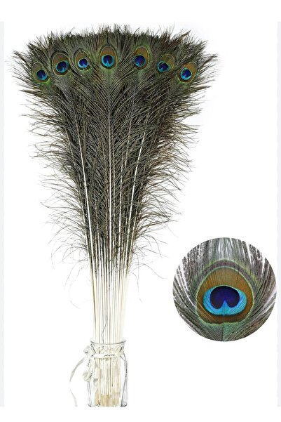 jujü Tavus Kuşu Tüyü, Dekoratif Ürün, Vazo Çiçeği ,1 Adettir, 60 Cm Uzunlukta.