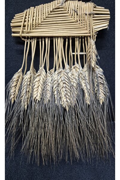 Raks Doğal Organik Buğday 60-70 Yıllık