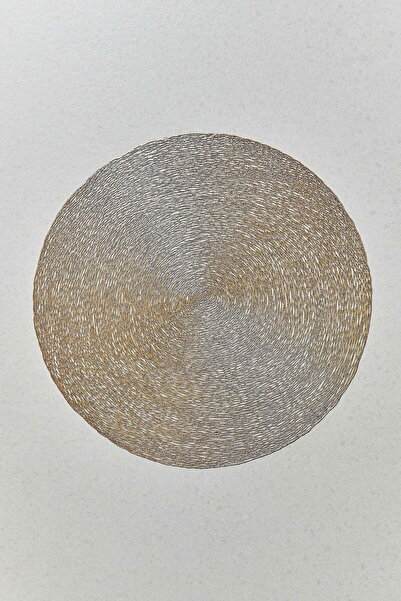 Paşabahçe Loop Amerikan Servis 36 cm Tekli