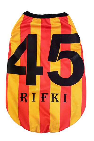 PuluPulu 🐱 🐶   Cat and Dog Fan Jersey with Name and Number