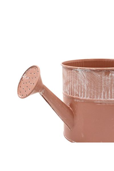 BM GİFT DESİGN Ghiveci Metalic Stropitoare 13x25cm Roz
