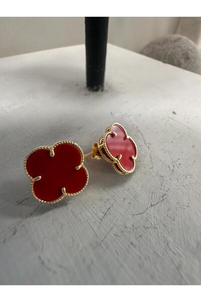 Sarraff 18 AYAR ALTIN KIRMIZI YONCA KÜPE